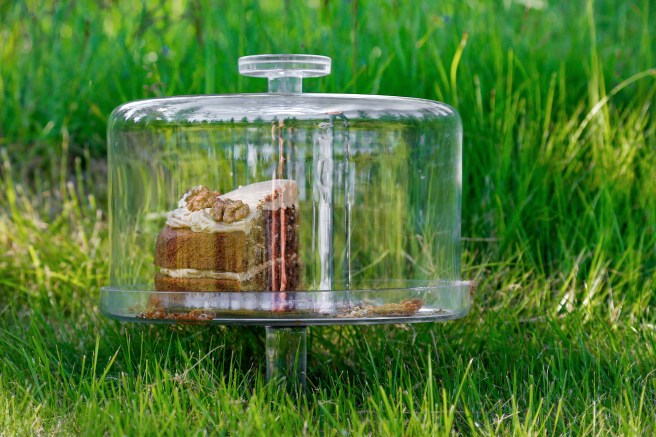 Kaffikaka með valhnetum