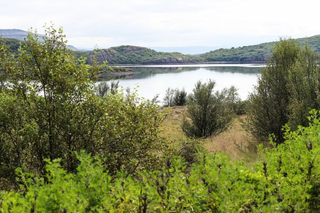 Uppáhalds kartöflugratínið