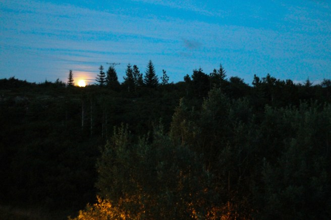 Uppáhalds kartöflugratínið