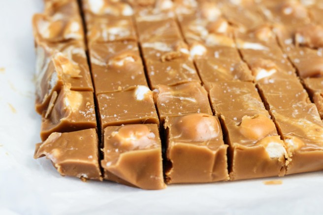 Lampaást og dásamlegt Dumlefudge