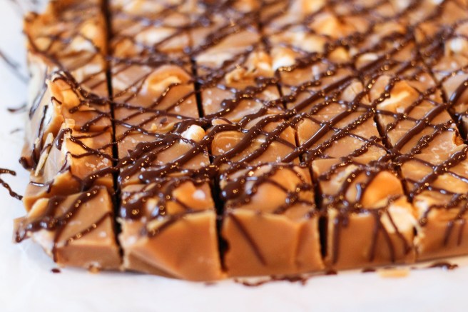 Lampaást og dásamlegt Dumlefudge