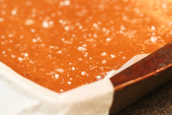 Karamellubrúnkur með saltstöngum